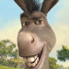 Donkey