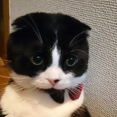 ぽてさん