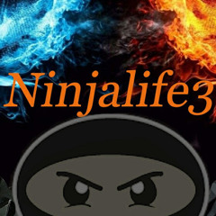 Ninja life3