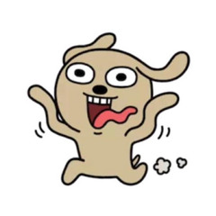 xiao.
