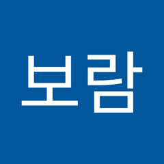 송보람