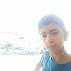 Sayed Elgonamy