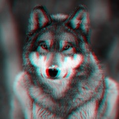 Wolfbrother XIII