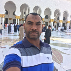 Mohamed Ibrahim Mohamed