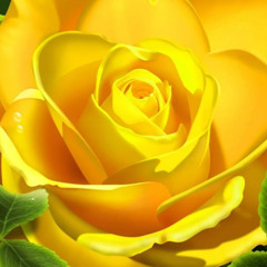 Nidhi S