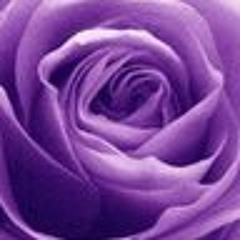 Meetu Mohanty
