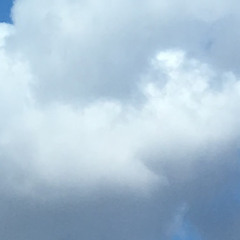 상상도못한정체