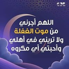 فلافيلو فلافيلوو