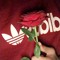 قِطة منهاره