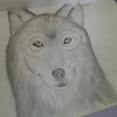 Speed drawing M.S -.-