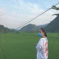 chiphoi241