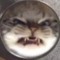 miticLpoffer