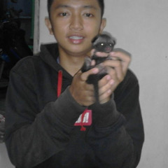 krisna