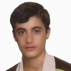 vahid hoseini