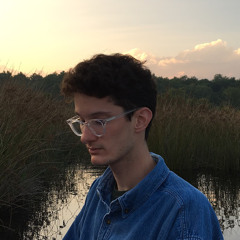 akfisch