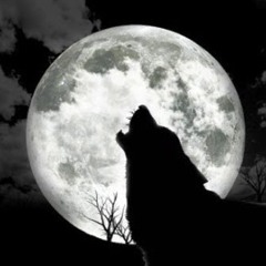 MrWolfpackleader