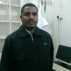 Ahmed Hassanab
