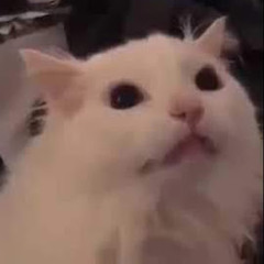 NeroBG