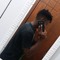 Anelson Soares