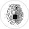 Cortex Cerebral
