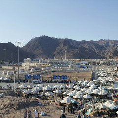 ضياء المرزوق