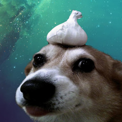 SPACE DOG LUL