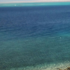 плей діма Лобода