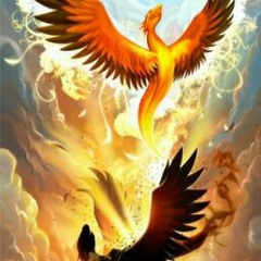Phoenix gaming