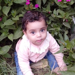 Abohour Elawy