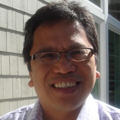 Vincent Navarro