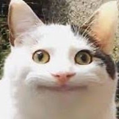 蒼もちお