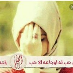 زهرة الورود