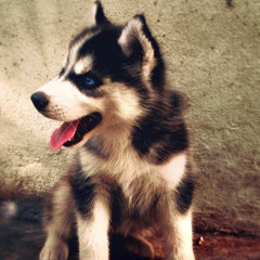 Fernanda García Negretti