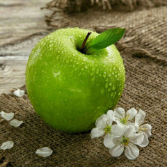 الغيداء الخروصية