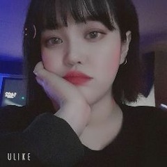 키도체고