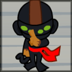 Anonymous Ninja