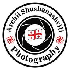 ARCHIL SHUSHANASHVILI