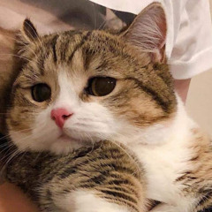 Khánh Dương Nguyễn Đức