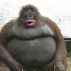 Kanye West lover