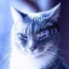 Виктор Цвигун