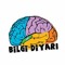 Bilgi Diyarı