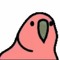 The other birb