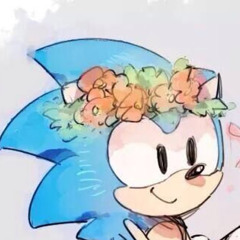 SonicFan72