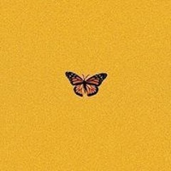 ml