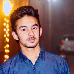 Hamza Tanveer