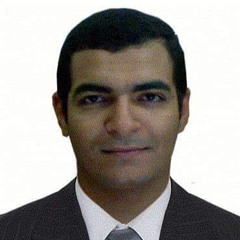Ahmed M. Abd-elseed