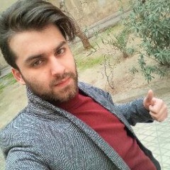 Amir Javid haghi
