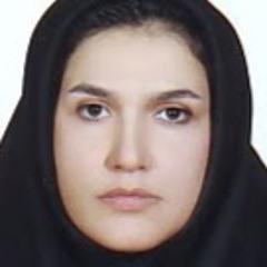 maryam zamani