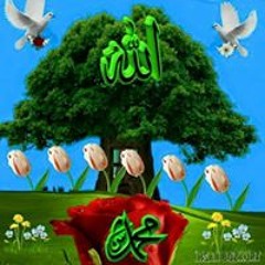 ehab