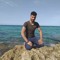الصقر الحر